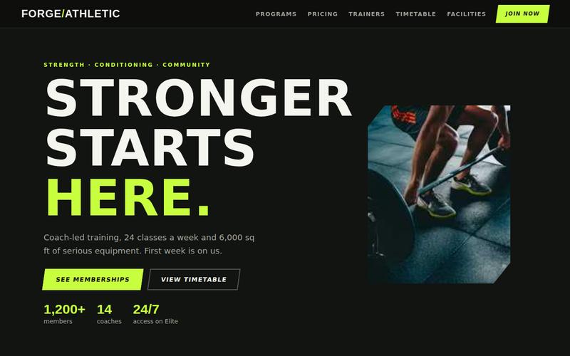 Preview of the Gym & Fitness Website website concept